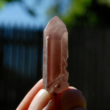 Load image into Gallery viewer, Channeler Pink Lithium Lemurian Quartz Crystal Starbrary Dreamsicle, Brazil
