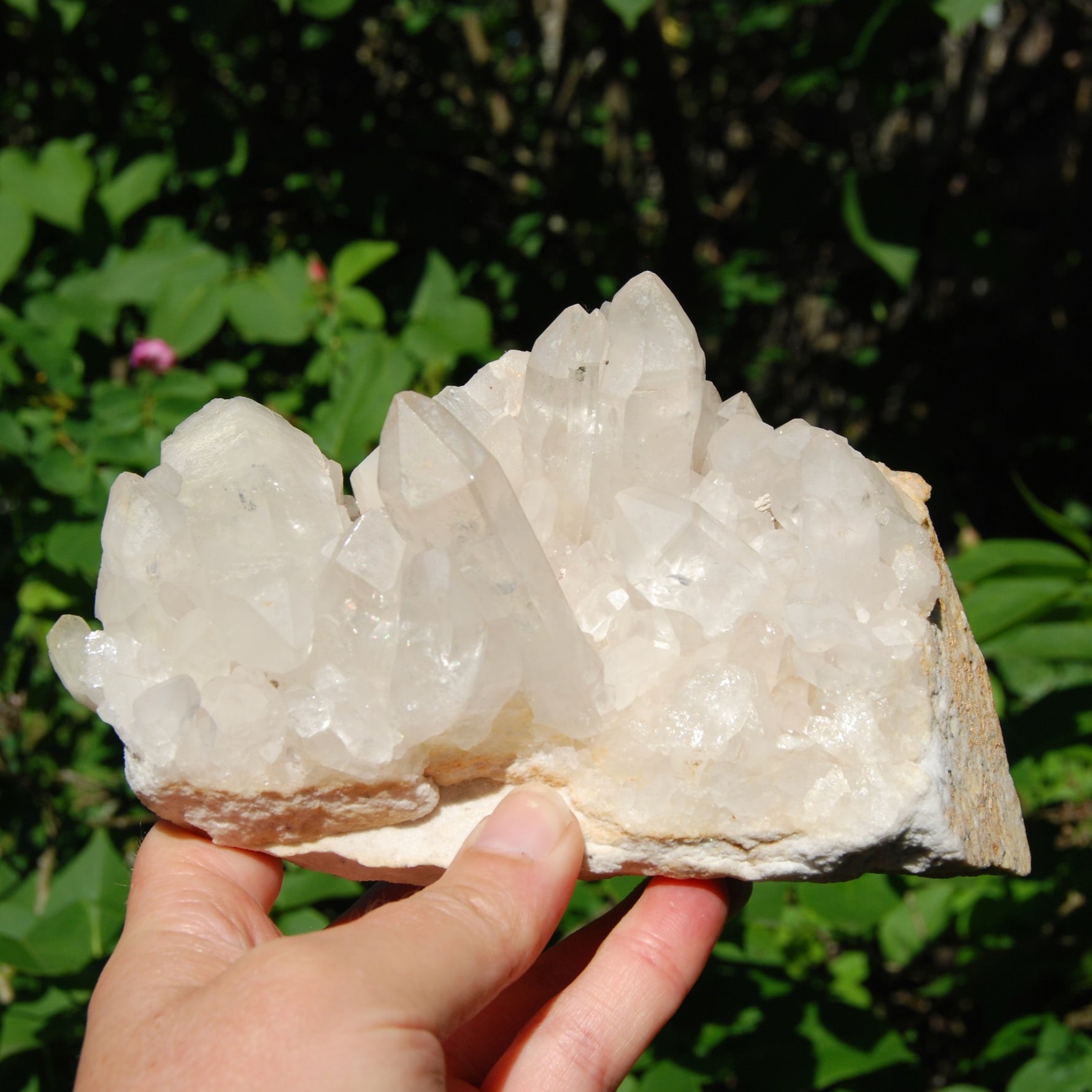 Large Clear Quartz Crystal Cluster