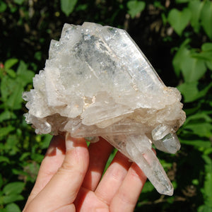 Ornate DT ET Clear Quartz Crystal Stacked Tabby Chain Flower Cluster Master Starbrary