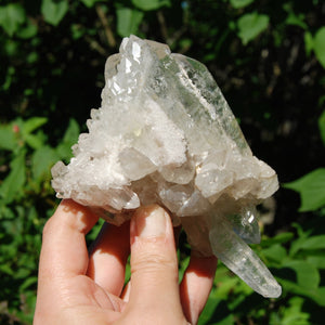 Ornate DT ET Clear Quartz Crystal Stacked Tabby Chain Flower Cluster Master Starbrary