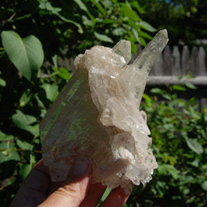 Ornate DT ET Clear Quartz Crystal Stacked Tabby Chain Flower Cluster Master Starbrary