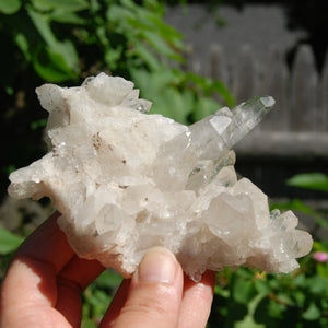 DT ET Clear Quartz Crystal Starbrary Flower Formation Floater