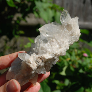 DT ET Clear Quartz Crystal Starbrary Flower Formation Floater