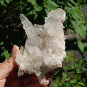 DT ET Clear Quartz Crystal Starbrary Flower Formation Floater