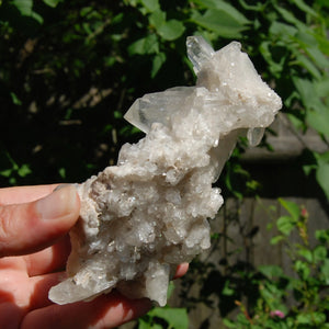 DT ET Clear Quartz Crystal Starbrary Flower Formation Floater