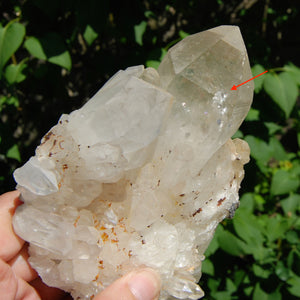 Inner Child Manifestation Clear Quartz Crystal Lightbrary Cluster