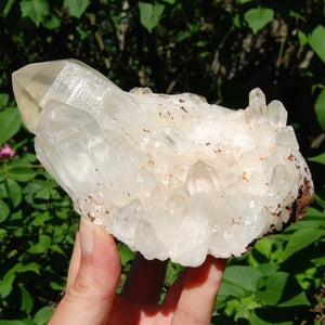 Inner Child Manifestation Clear Quartz Crystal Lightbrary Cluster