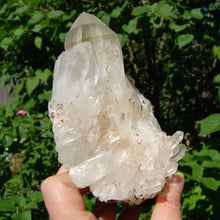 Load image into Gallery viewer, Inner Child Manifestation Clear Quartz Crystal Lightbrary Cluster
