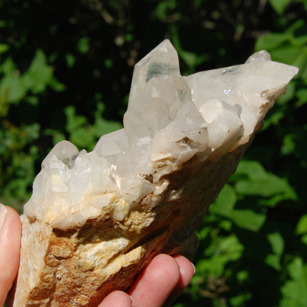 Large Clear Quartz Crystal Cluster