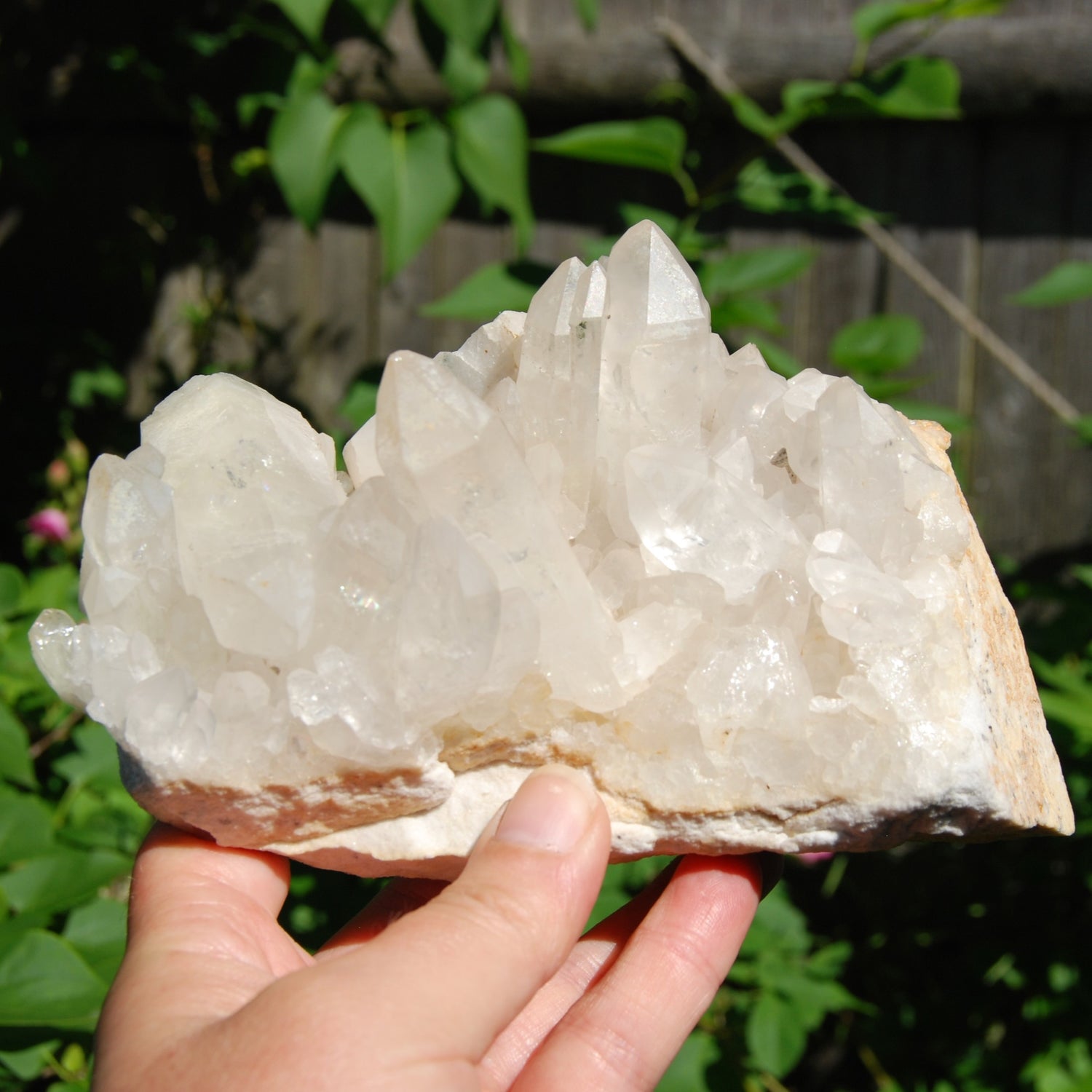 Large Clear Quartz Crystal Cluster