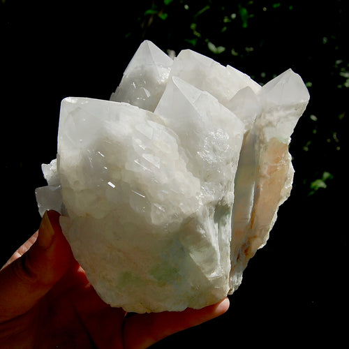 XL Lovestar Lightbrary Quartz Fuchite Crystal Cluster, Madagascar