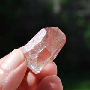 Pink Lemurian Seed Quartz Crystal Starbrary, Serra do Cabral, Brazil