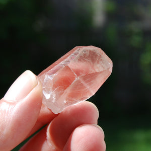 Pink Lemurian Seed Quartz Crystal Starbrary, Serra do Cabral, Brazil