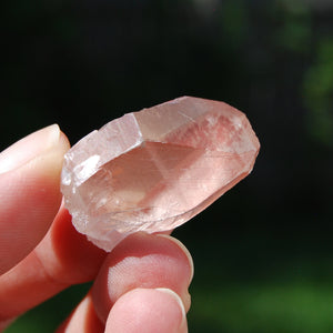 Pink Lemurian Seed Quartz Crystal Starbrary, Serra do Cabral, Brazil