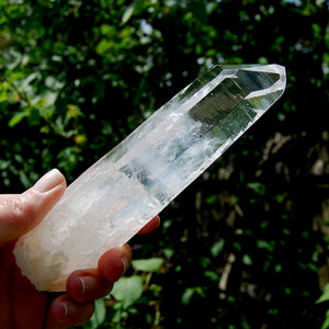 XL Colombian Blue Smoke Lemurian Crystal