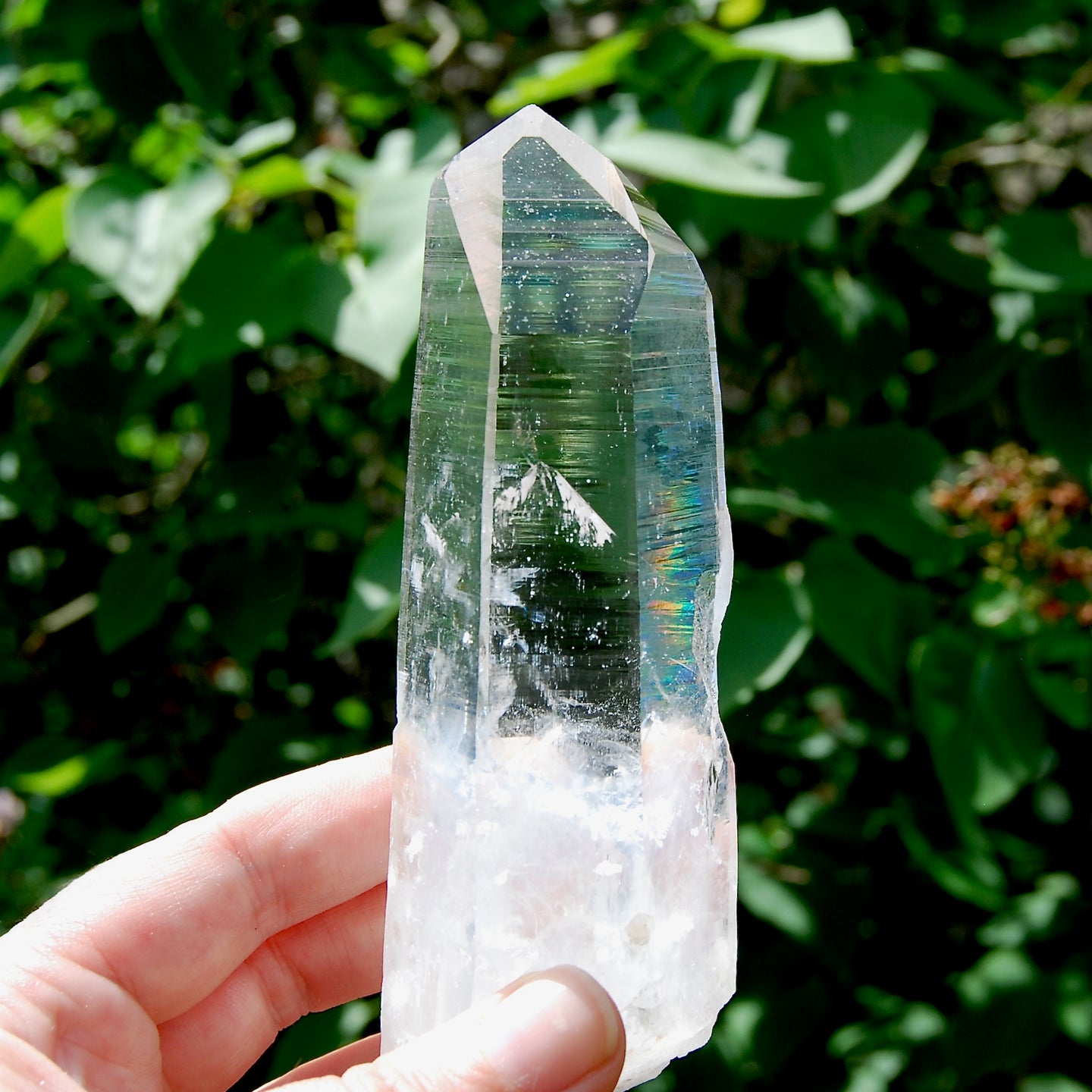 Dow Channeler Colombian Blue Smoke Lemurian Crystal, Santander, Colombia