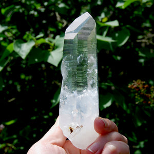 Dow Channeler Colombian Blue Smoke Lemurian Crystal, Santander, Colombia