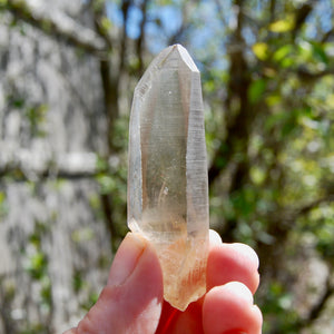 Smoky Lemurian Seed Quartz Crystal