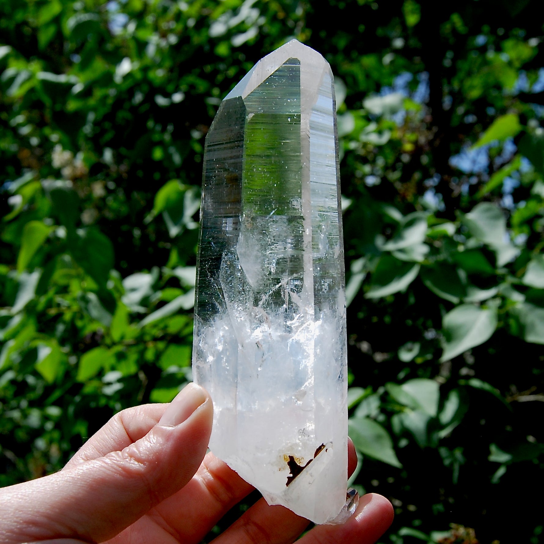 Dow Channeler Colombian Blue Smoke Lemurian Crystal, Santander, Colombia
