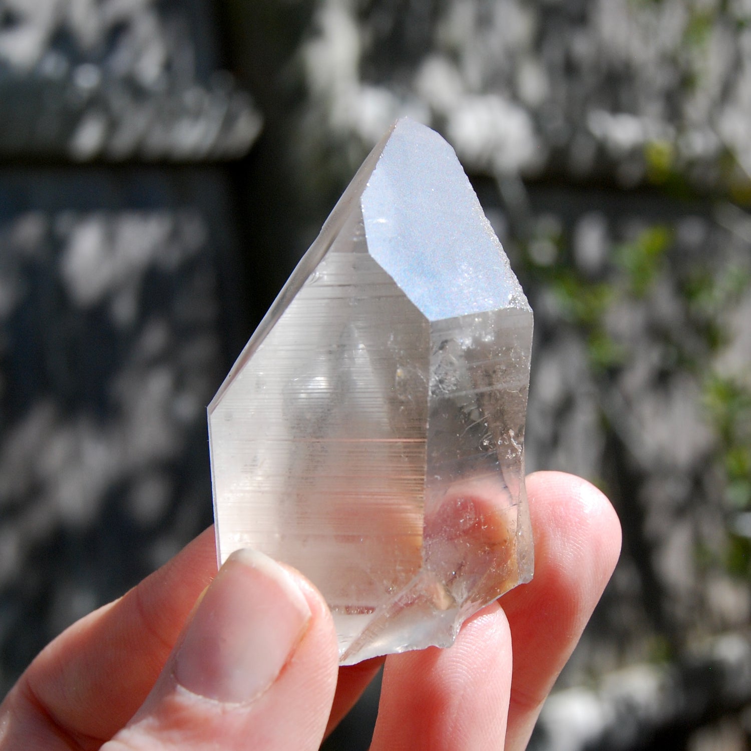 Transmitter Smoky Lemurian Seed Quartz Crystal, Brazil