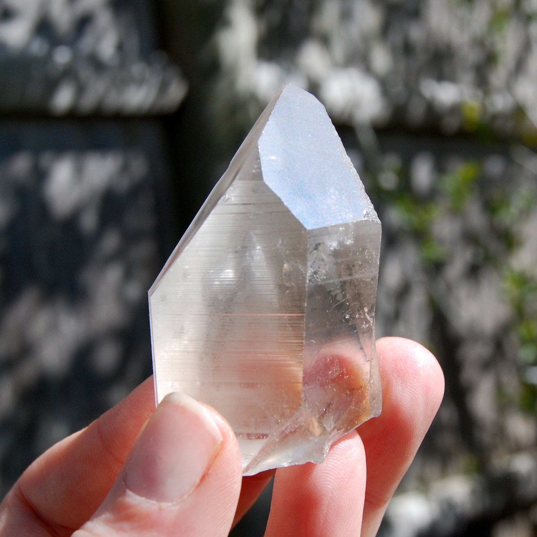 Transmitter Smoky Lemurian Seed Quartz Crystal, Brazil
