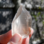 Transmitter Smoky Lemurian Seed Quartz Crystal, Brazil