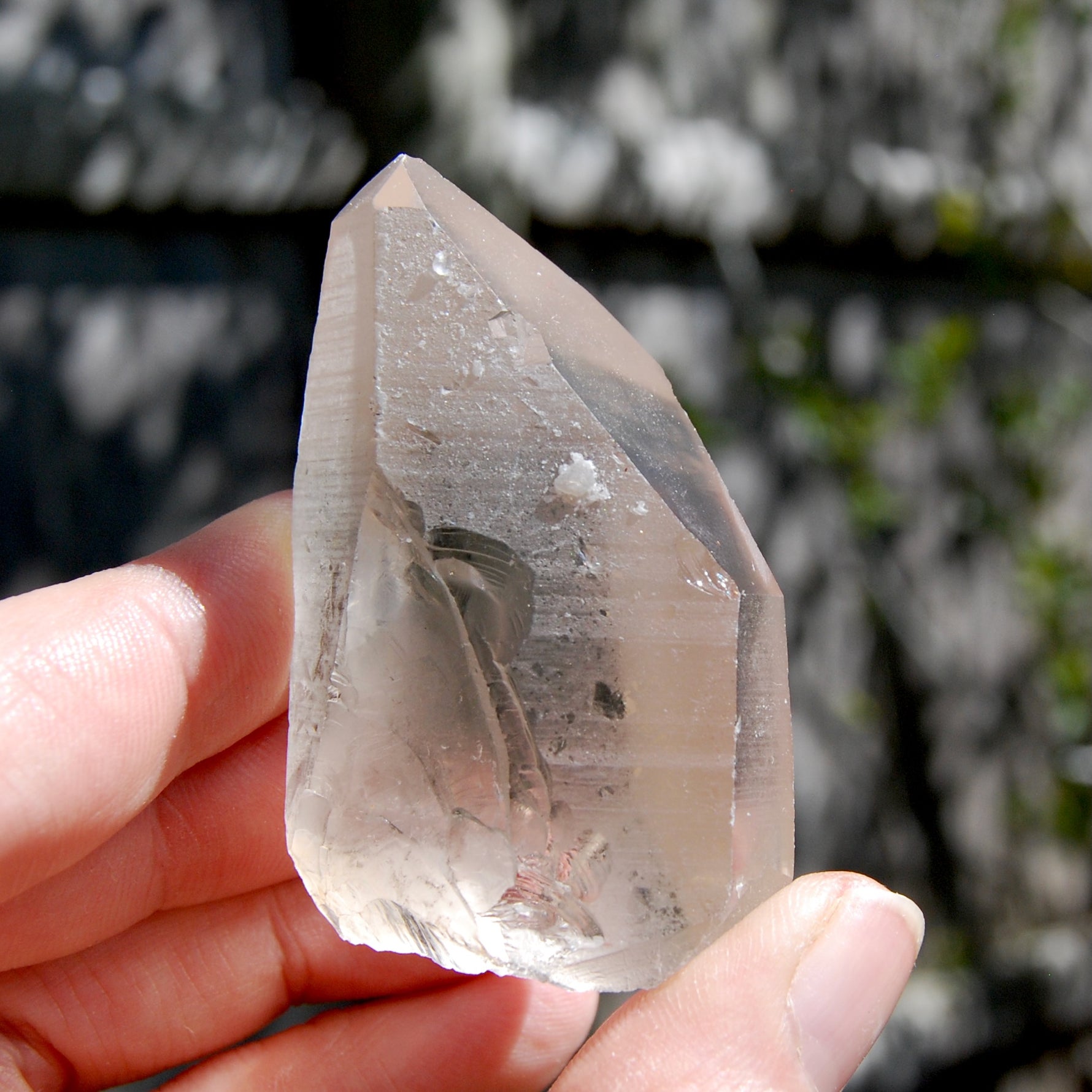 Transmitter Smoky Lemurian Seed Quartz Crystal, Brazil