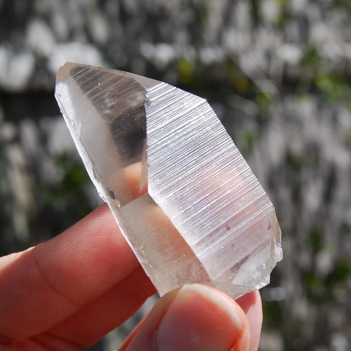 Transmitter Smoky Lemurian Seed Quartz Crystal, Brazil