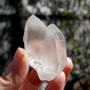Devic Temple Tantric Twin Smoky Lemurian Seed Quartz Crystal, Brazil