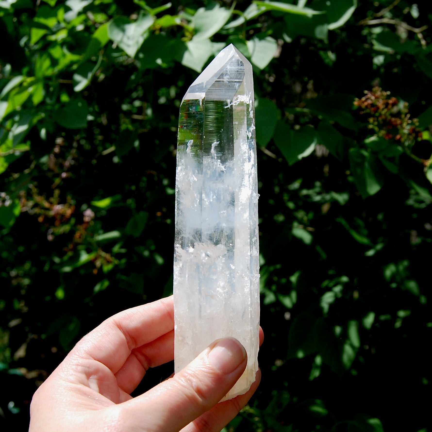 XL Colombian Blue Smoke Lemurian Crystal