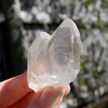 Load image into Gallery viewer, Devic Temple Tantric Twin Smoky Lemurian Seed Quartz Crystal, Brazil
