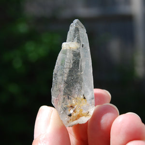 Rare Himalayan Kullu Quartz Crystal Master Stabrary, Rutile Specular Hematite High Altitude Crystal, Kullu Valley c3