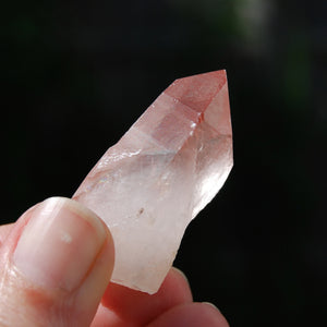 Isis Face Strawberry Pink Lemurian Seed Quartz Crystal Starbrary, Serra do Cabral, Brazil