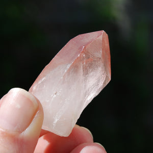 Isis Face Strawberry Pink Lemurian Seed Quartz Crystal Starbrary, Serra do Cabral, Brazil