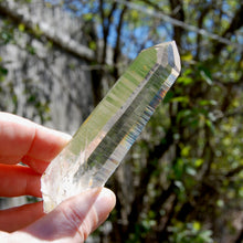 Load image into Gallery viewer, Record Keeper Channeler Blades of Light Lemurian Quartz Crystal
