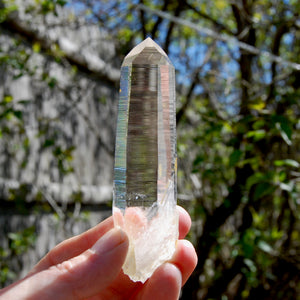 Record Keeper Channeler Blades of Light Lemurian Quartz Crystal