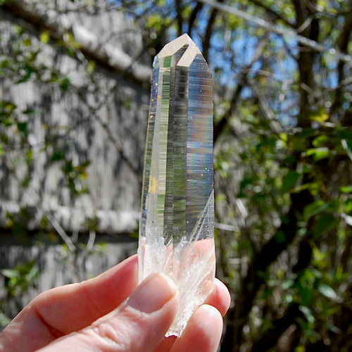 Record Keeper Channeler Blades of Light Lemurian Quartz Crystal