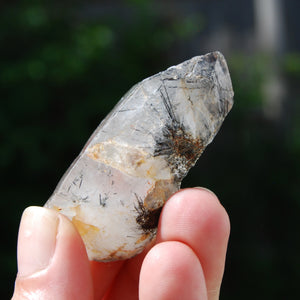 DT Himalayan Kullu Quartz Crystal Stabrary, Rutile Specular Hematite High Altitude Crystal, Kullu Valley