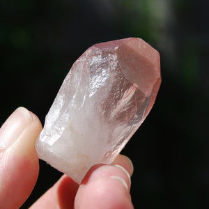 Isis Face Strawberry Pink Lemurian Seed Quartz Crystal Starbrary, Serra do Cabral, Brazil