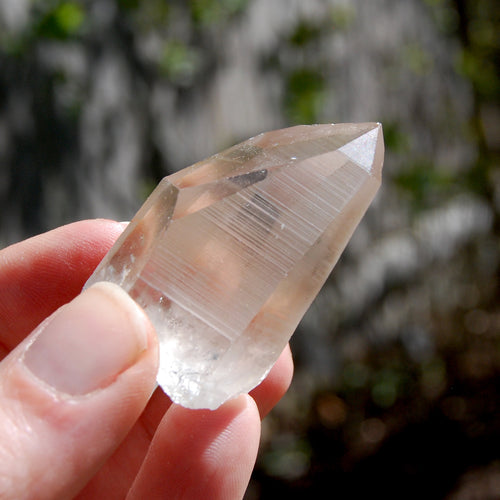 Smoky Lemurian Seed Quartz Crystal