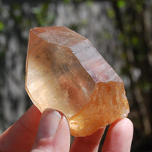 Load image into Gallery viewer, 2.8in 116g Devic Temple Smoky Tangerine Lemurian Seed Quartz Crystal Starbrary, Brazil
