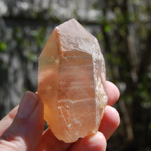 Load image into Gallery viewer, 2.8in 116g Devic Temple Smoky Tangerine Lemurian Seed Quartz Crystal Starbrary, Brazil
