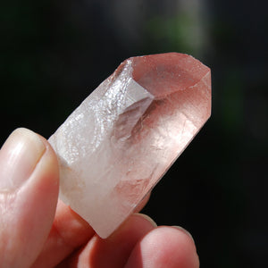 Isis Face Strawberry Pink Lemurian Seed Quartz Crystal Starbrary, Serra do Cabral, Brazil