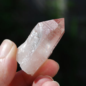 Isis Face Strawberry Pink Lemurian Seed Quartz Crystal Starbrary, Serra do Cabral, Brazil