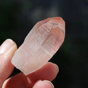 Isis Face Strawberry Pink Lemurian Seed Quartz Crystal Starbrary, Serra do Cabral, Brazil