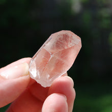 Load image into Gallery viewer, Pink Lemurian Seed Quartz Crystal Starbrary, Serra do Cabral, Brazil
