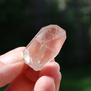 Pink Lemurian Seed Quartz Crystal Starbrary, Serra do Cabral, Brazil