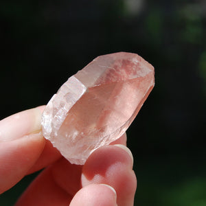 Pink Lemurian Seed Quartz Crystal Starbrary, Serra do Cabral, Brazil