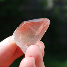 Load image into Gallery viewer, Pink Lemurian Seed Quartz Crystal Starbrary, Serra do Cabral, Brazil
