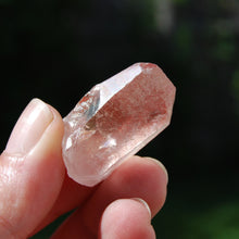 Load image into Gallery viewer, Pink Lemurian Seed Quartz Crystal Starbrary, Serra do Cabral, Brazil
